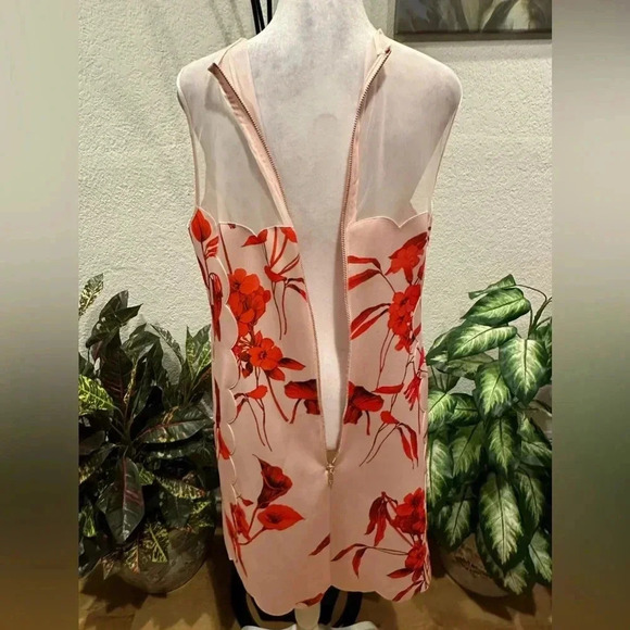Ted Baker Pink Jaazmin Fantasia Scallop Mini Dress size 3 - Picture 5 of 16